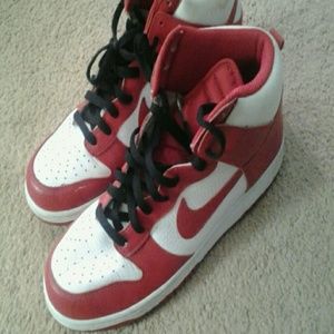 Mens Nike Dunks