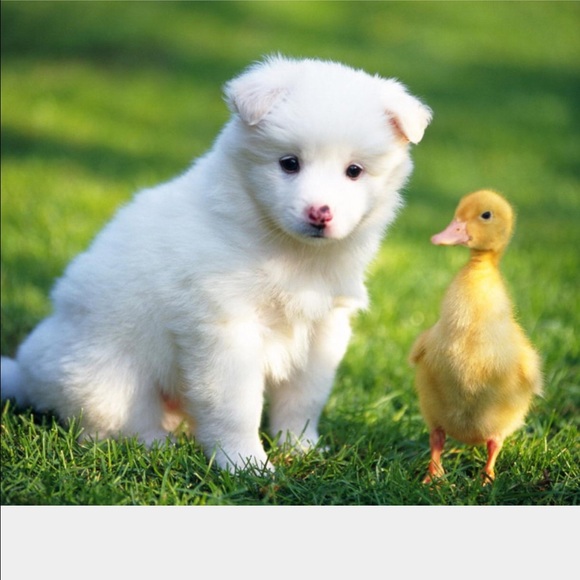 Meet your Posher, Michelle - Picture 2 of 2