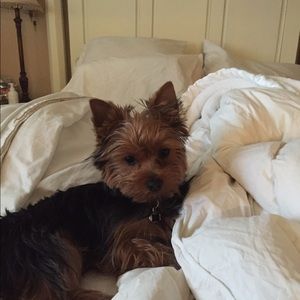 Meet your Posher, Gaylin