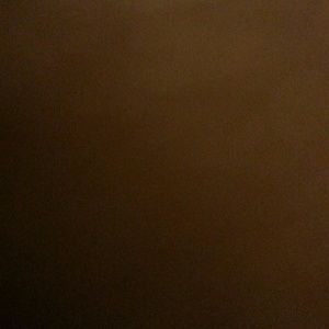 Meet your Posher, Mica