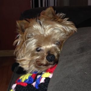 Meet your Posher, Angela