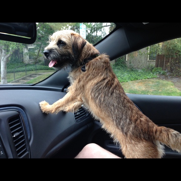 Meet your Posher, Karen - Picture 1 of 1