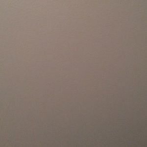 Meet your Posher, Rayven