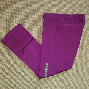 NY & Co. Purple Skinny Work Pants