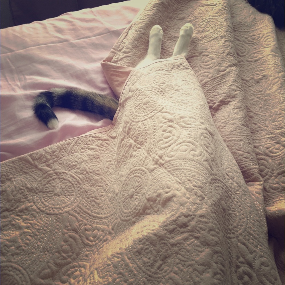 Meet your Posher, Natalie