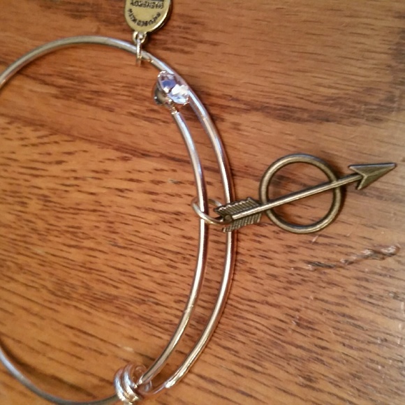 Alex and Ani Style Bracelet!