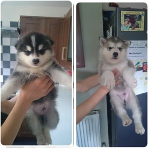 Meet your Posher, Makayla