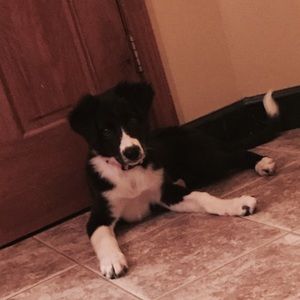 Meet your Posher, Heather