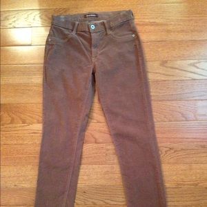 James Jeans Twiggy Brown Cords