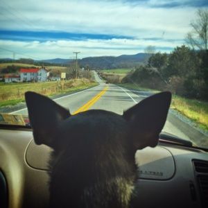 Meet your Posher, Claire