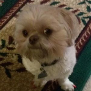 Meet your Posher, Sandra