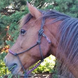 Meet your Posher, Luisa