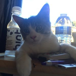 Meet your Posher, Thomas