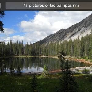 Meet your Posher, Yvette