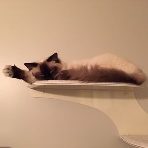 Meet your Posher, Gail