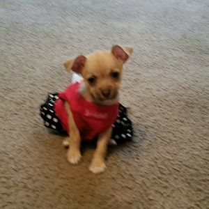 Meet your Posher, Heather