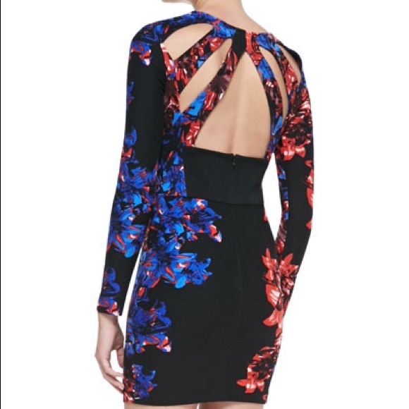 Parker Women's Mariel Floral Cut Out Back Dress XS