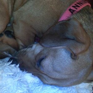 Meet your Posher, Rachel