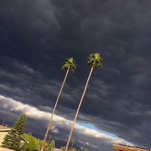 Meet your Posher, Aimee