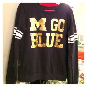 P!NK rhinestone U of M sweater.
