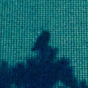 Meet your Posher, Zack