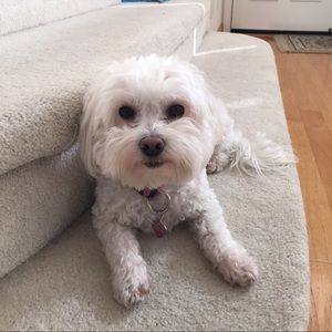 Meet your Posher, Clee