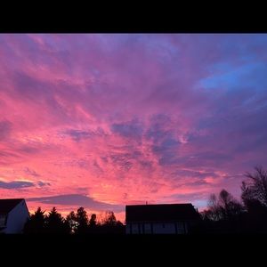 Meet your Posher, Sydney