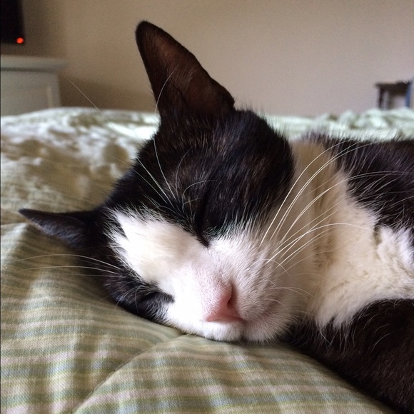 Meet your Posher, Michelle - Picture 1 of 1