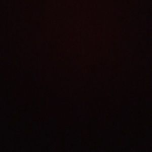 Meet your Posher, Bridget