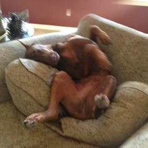 Meet your Posher, Sally