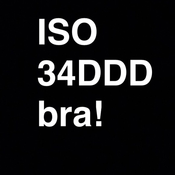 ISO cheap 34DDD bras