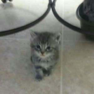 Meet your Posher, Lydia