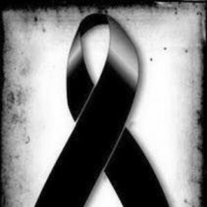 Meet your Posher, Elvis