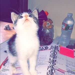 Meet your Posher, Casey