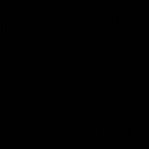 Meet your Posher, Mariana