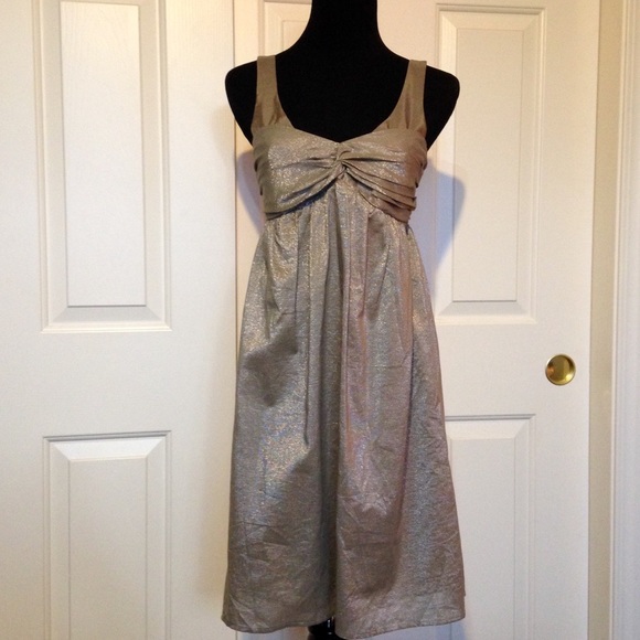 BAILEY 44 Host Pick Gorgeous Shimmery Taupe Dress Size 2 - Picture 2 of 4