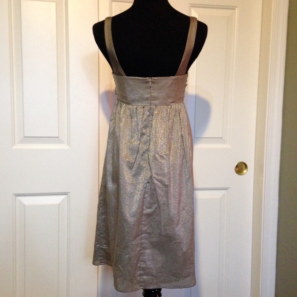 BAILEY 44 Host Pick Gorgeous Shimmery Taupe Dress Size 2 - Picture 3 of 4