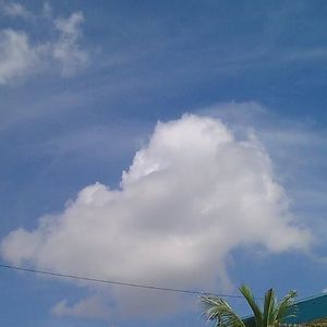 Meet your Posher, Miriam