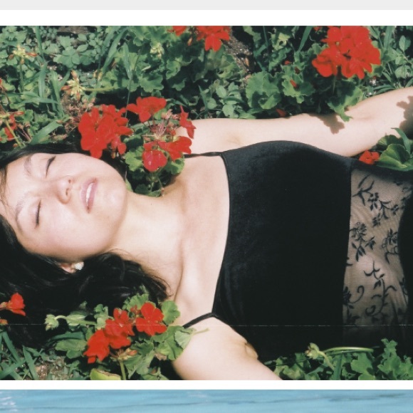 Sale!! Firm price! Velvet sheer maxi