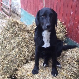 Meet your Posher, Anya