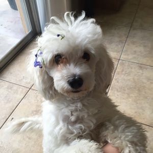 Meet your Posher, Mirna