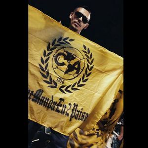 Meet your Posher, Peter