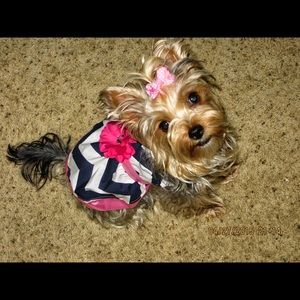 Meet your Posher, Berenice