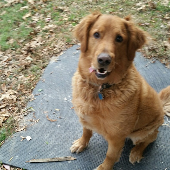 Meet your Posher, Derek - Picture 1 of 1