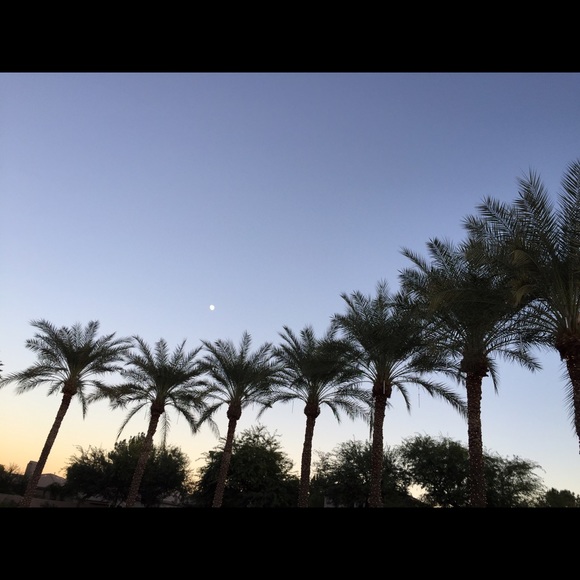 Meet your Posher, Emily - Picture 1 of 1