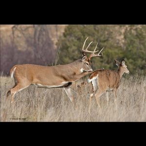 Meet your Posher, Alexandrea