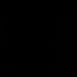 Meet your Posher, Greta