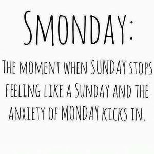 Meet your Posher, Elsa