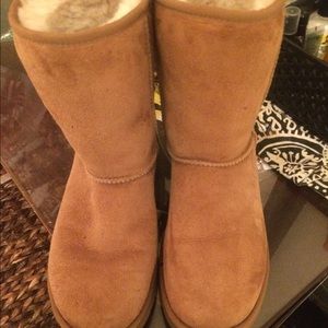 Short chestnut uggs!