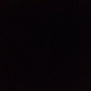 Meet your Posher, Ivy